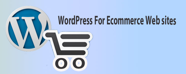 How To Use WordPress For Ecommerce Web sites?